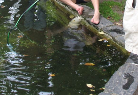 Klõpsa pildi vaatamiseks täissuuruses