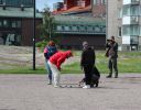 Файл=IMG_6769~0.JPG
Объём=301КБ
Размеры=768x596
Дата=Июль 31, 2014 IMG_6769~0.JPG