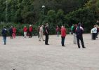 Filnamn: possu_095.JPG
Filstorlek: 289KB
Dimensioner: 768x541
Tillagd den: 07 sep 2012 possu_095.JPG