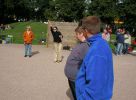 Filnamn: IMG_08612.JPG
Filstorlek: 778KB
Dimensioner: 1516x1114
Tillagd den: 29 sep 2005 IMG_08612.JPG
